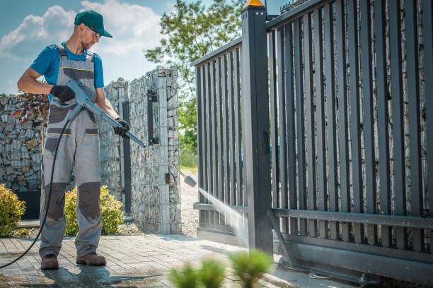 Best Gutter Cleaning  in Holly Hill, FL