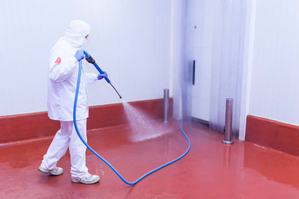 Best Parking Lot and Garage Cleaning  in Holly Hill, FL