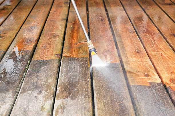 Best Solar Panel Cleaning  in Holly Hill, FL